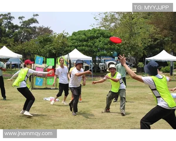 深圳飞盘队的崛起与力量探索聚焦飞盘运动的未来发展与挑战