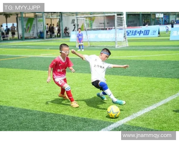 足球HIL：探索全球足球文化的独特魅力与发展趋势